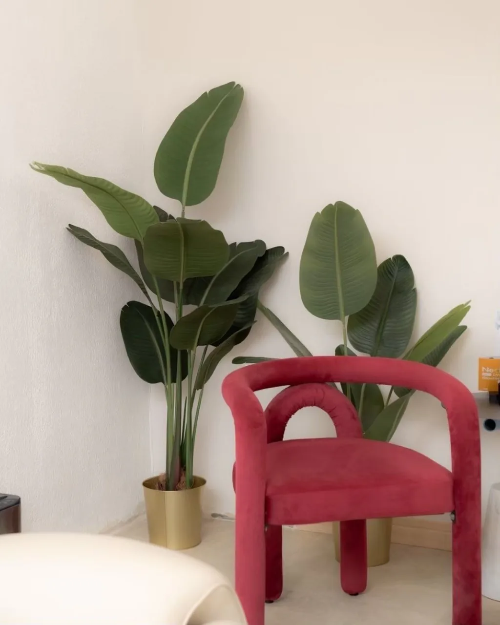 Red accent chair and green plants in a VERZO CLINIC seating corner